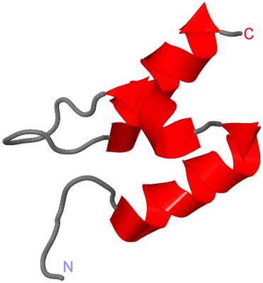 Image NMR Structure - model 1