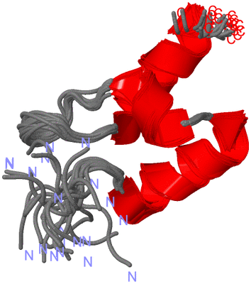 Image NMR Structure - all models