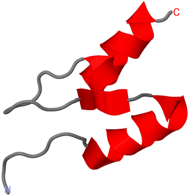 Image NMR Structure - model 1