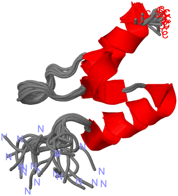 Image NMR Structure - all models