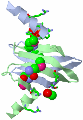 Image Asym./Biol. Unit - sites