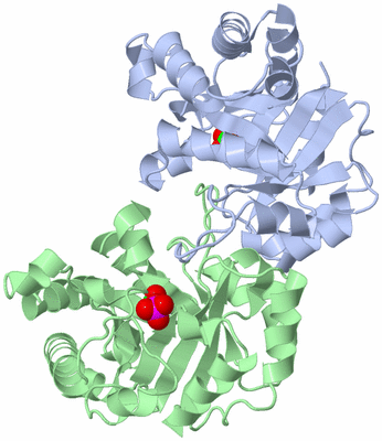 Image Asym./Biol. Unit