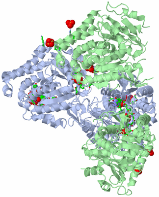 Image Biol. Unit 1 - sites