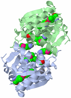 Image Asymmetric Unit