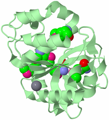 Image Biological Unit 2