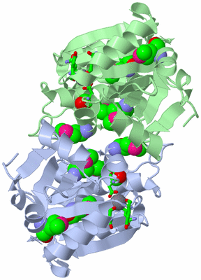 Image Asym. Unit - sites