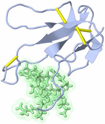 Image NMR Structure - model 1