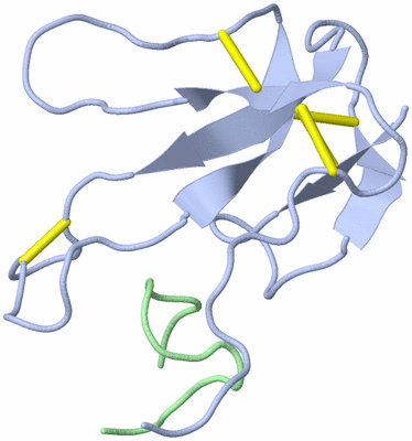 Image NMR Structure - all models