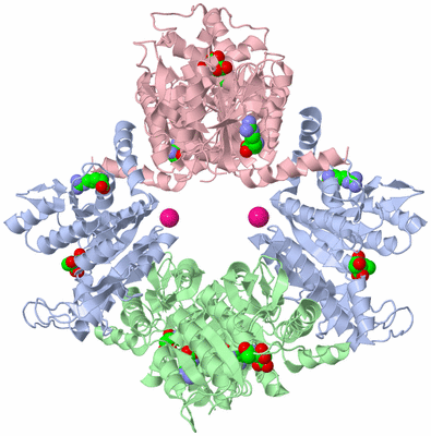 Image Biological Unit 1