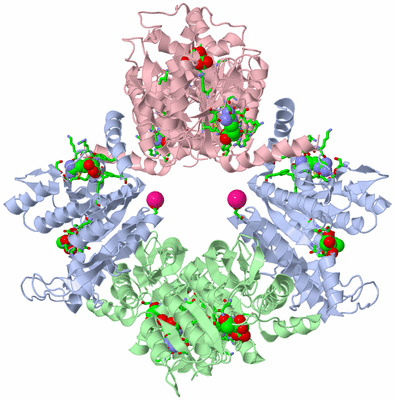 Image Biol. Unit 1 - sites