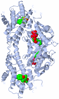 Image Biological Unit 1