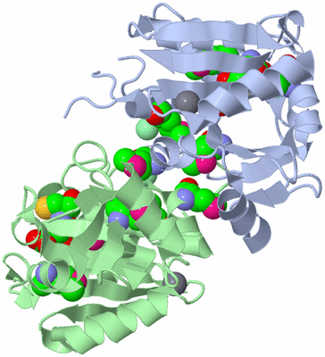 Image Asymmetric Unit