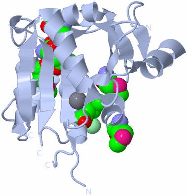 Image Biological Unit 1