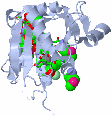 Image Biol. Unit 1 - sites