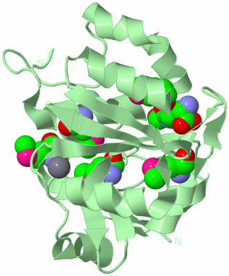 Image Biological Unit 2