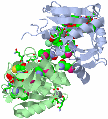 Image Asym. Unit - sites
