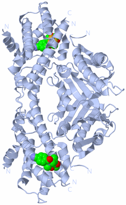 Image Biological Unit 1