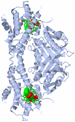 Image Biol. Unit 1 - sites