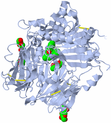 Image Biological Unit 1