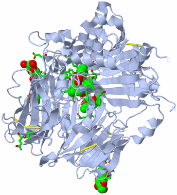 Image Biol. Unit 1 - sites