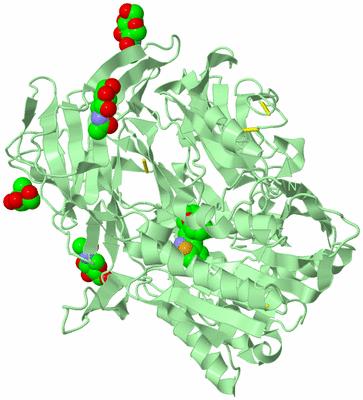 Image Biological Unit 2