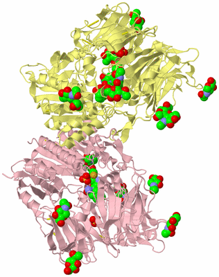 Image Biological Unit 2