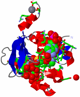 Image Asym./Biol. Unit - sites