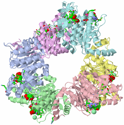 Image Biol. Unit 1 - sites