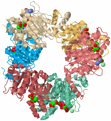 Image Biological Unit 2