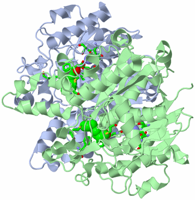 Image Biol. Unit 1 - sites