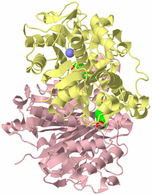 Image Biological Unit 2