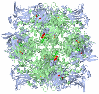 Image Biol. Unit 1 - sites