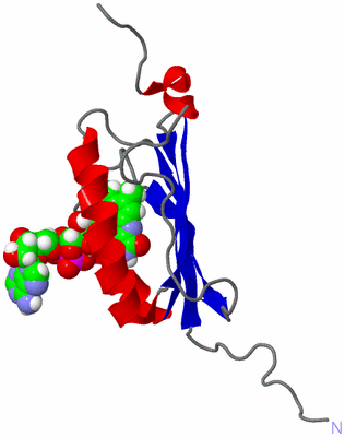 Image NMR Structure - model 1