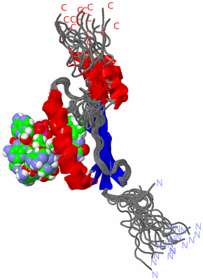 Image NMR Structure - all models