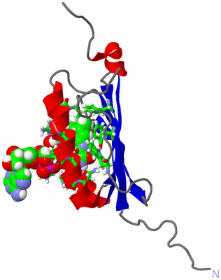 Image NMR Structure - model 1, sites