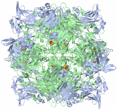 Image Biological Unit 1