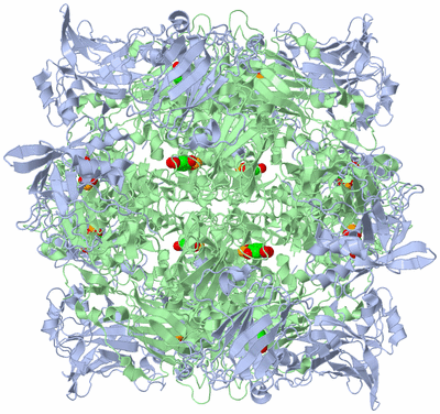 Image Biological Unit 1