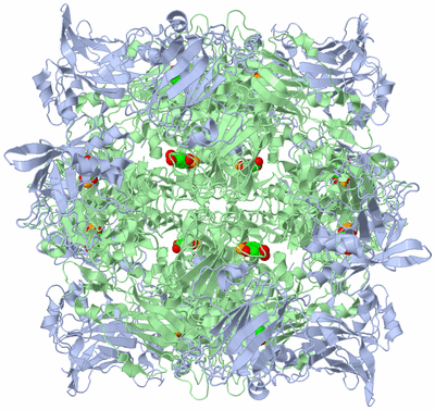 Image Biological Unit 1