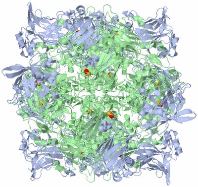 Image Biological Unit 1