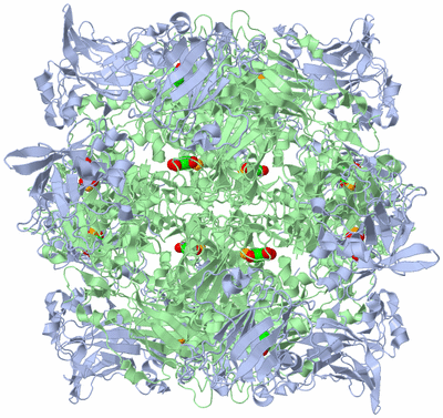 Image Biological Unit 1