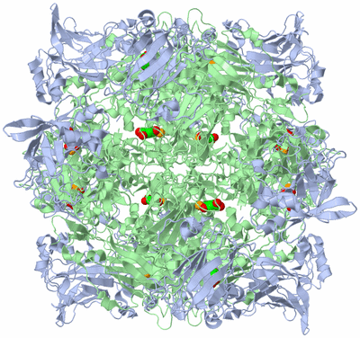 Image Biological Unit 1