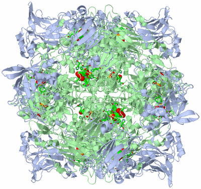 Image Biol. Unit 1 - sites