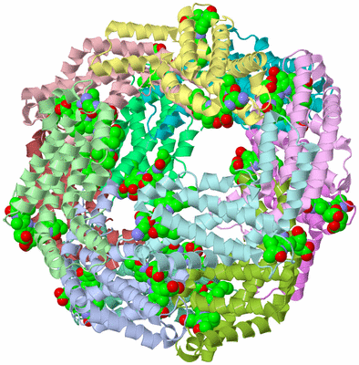 Image Asym./Biol. Unit