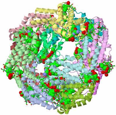 Image Asym./Biol. Unit - sites