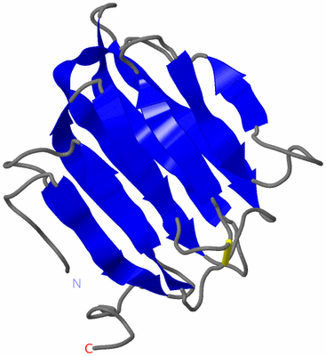 Image NMR Structure - model 1