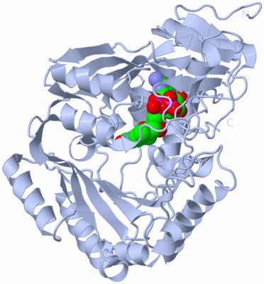 Image Biological Unit 1