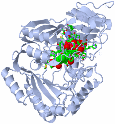 Image Biol. Unit 1 - sites