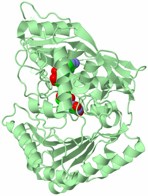 Image Biological Unit 2