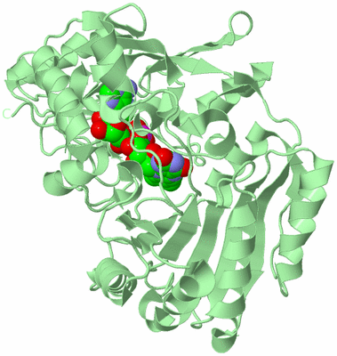 Image Biological Unit 2