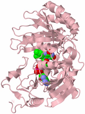 Image Biological Unit 3